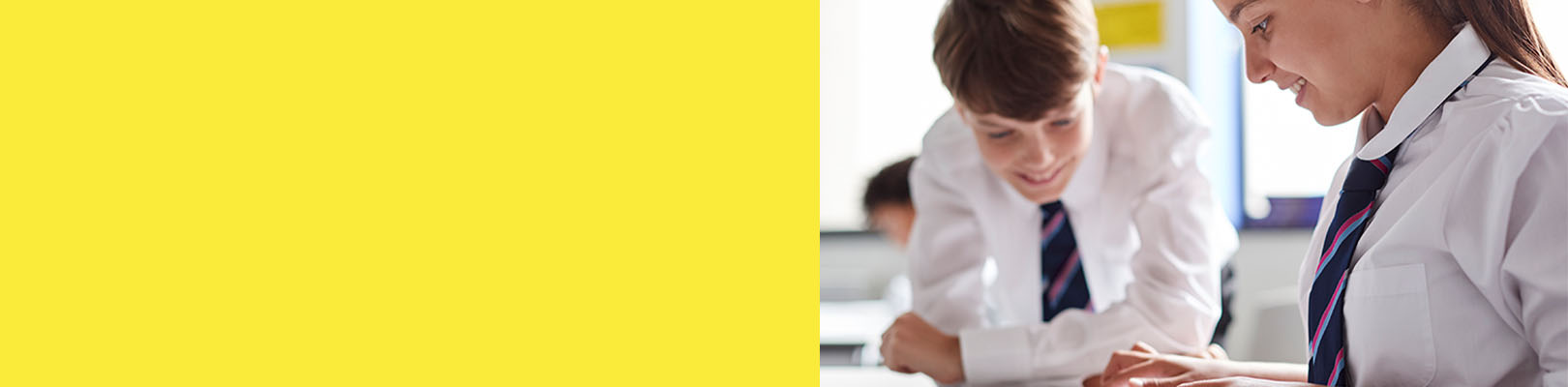 Who We Help > Education